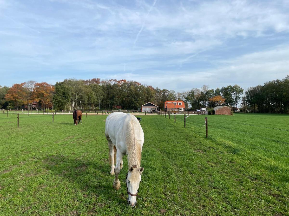 Bed & Breakfast Hoeve Happiness - Ontbijt Inbegrepen - Wellness Aanwezig Voorthuizen Exterior foto
