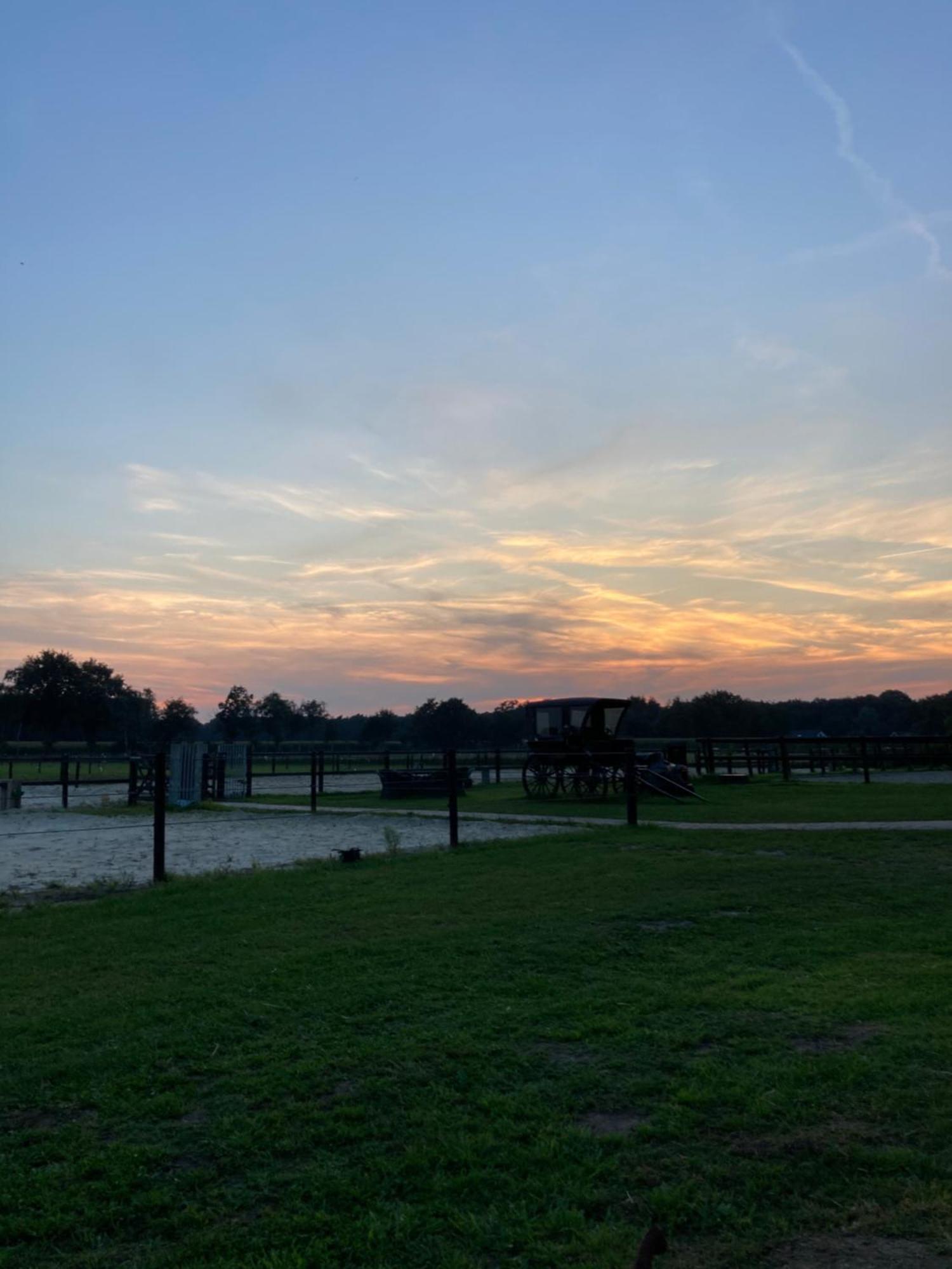 Bed & Breakfast Hoeve Happiness - Ontbijt Inbegrepen - Wellness Aanwezig Voorthuizen Exterior foto