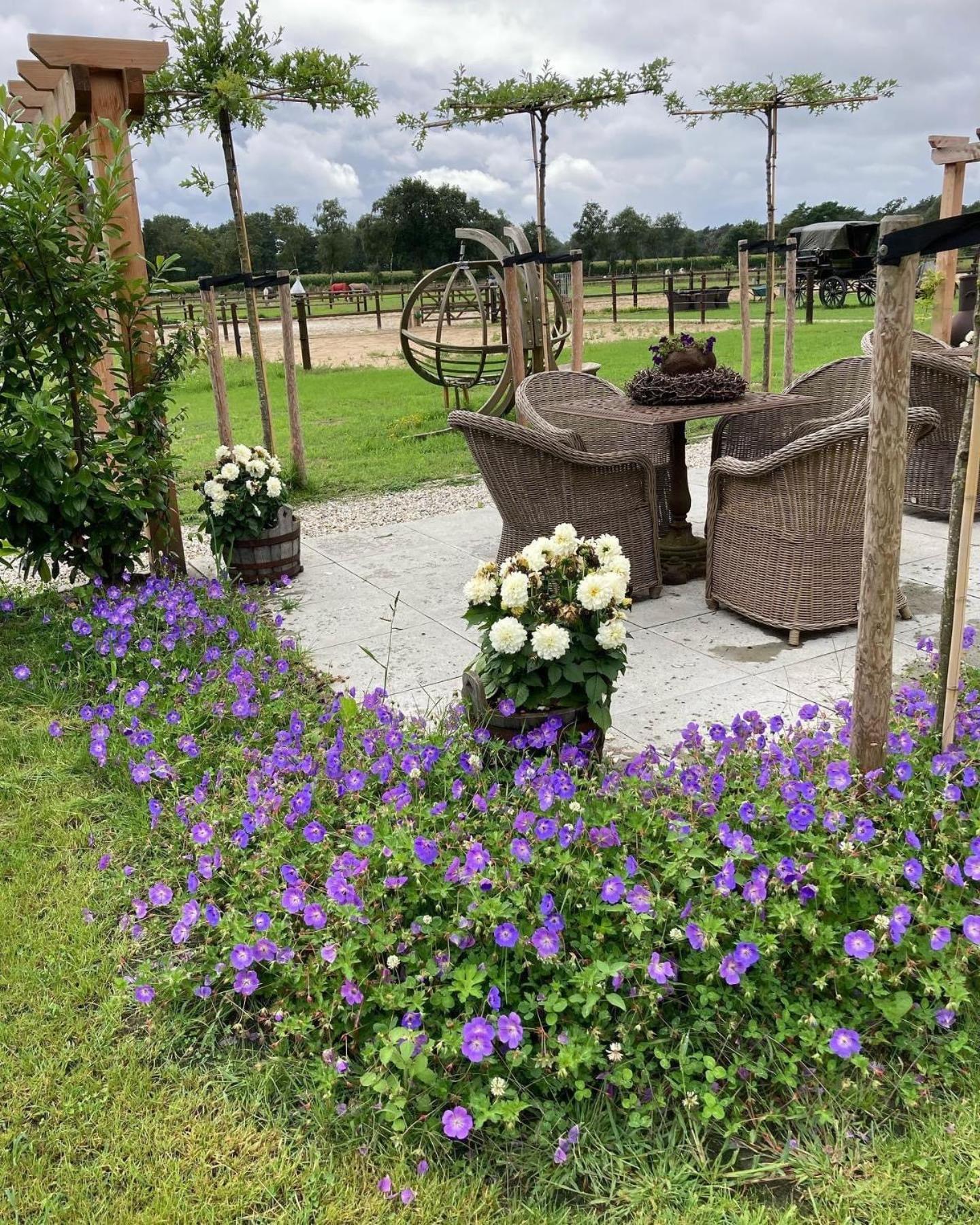 Bed & Breakfast Hoeve Happiness - Ontbijt Inbegrepen - Wellness Aanwezig Voorthuizen Exterior foto